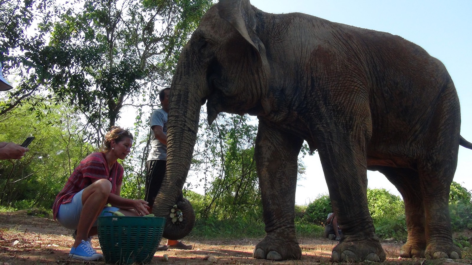 Elephant sanctuary in Thailand